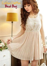 Chiffon One piece Lace Dress 